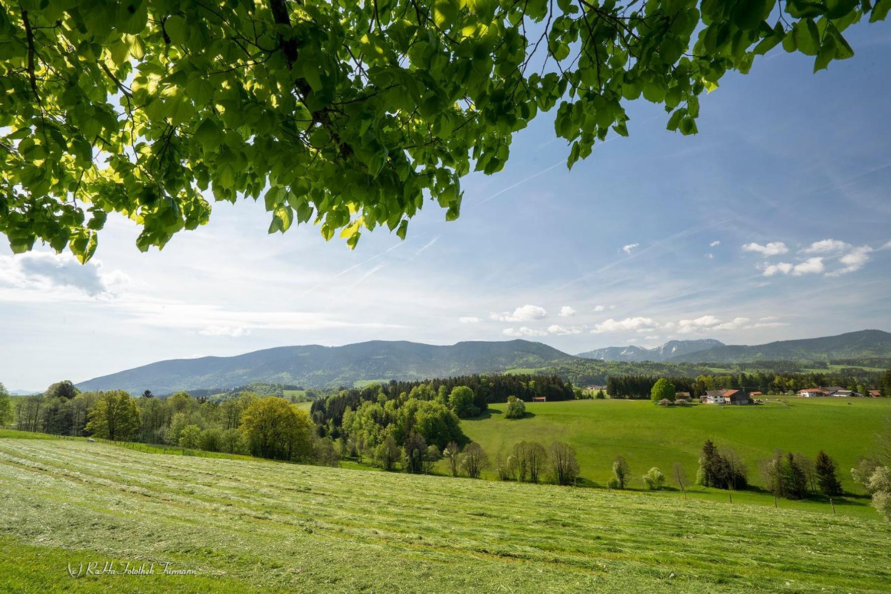 Monteurzimmer Am Teisenberg Neukirchen am Teisenberg Екстер'єр фото